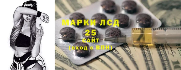 PSILOCYBIN Балабаново