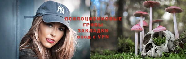 тгк Балахна